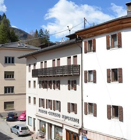 Albergo Cavallino Pieve di Cadore Exterior photo